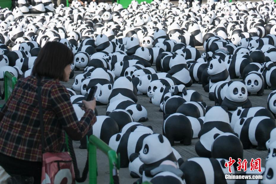 開(kāi)催迫る「PANDA GO！香港遊」展　張り子のパンダ2500體が香港空港に到著