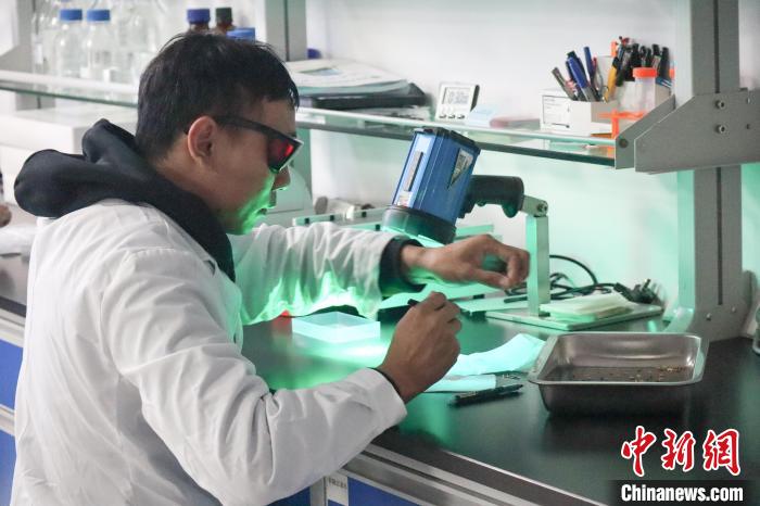 湖南ハイブリッド稲センターのDNA検査室で、種籾を選別する研究者。撮影?蔣文月