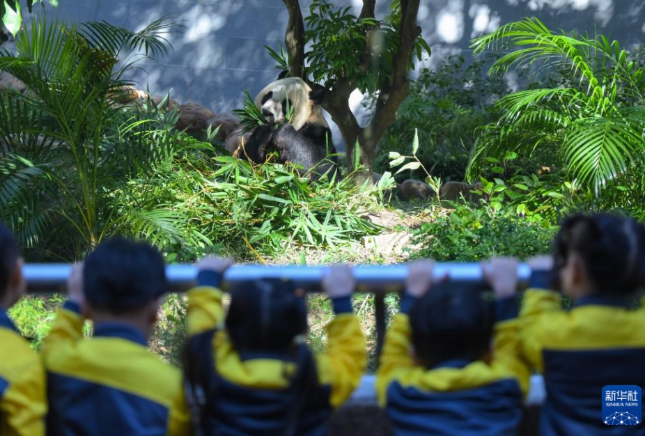 現(xiàn)在と過去が融合し、獨自の魅力を発信する國際的観光地?澳門特區(qū)