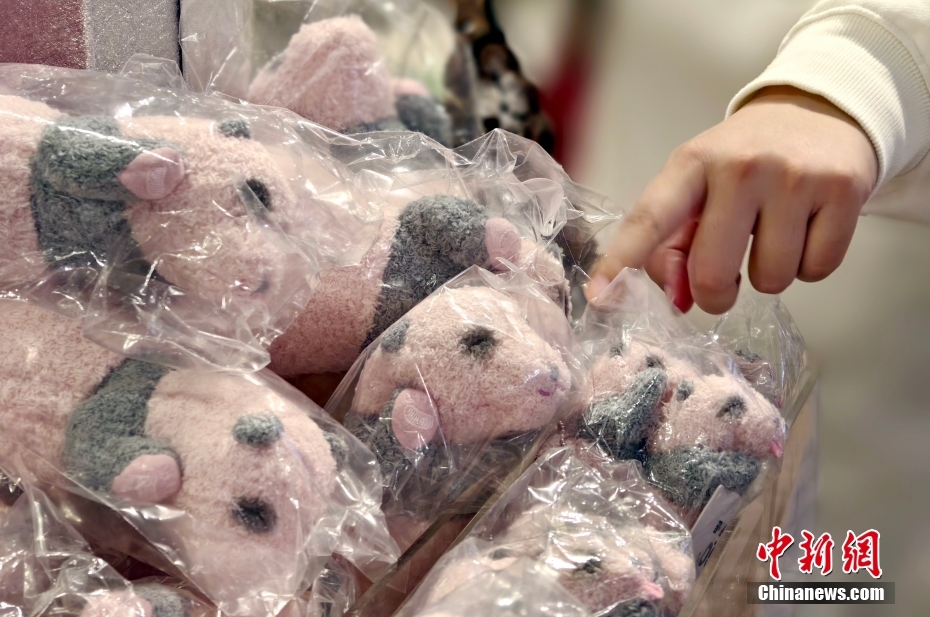 中國から香港特區(qū)に贈られたパンダが8日から公開へ　街中にもパンダ歓迎ムード