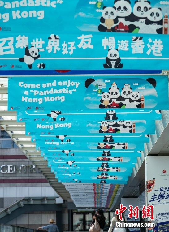 中國(guó)から香港特區(qū)に贈(zèng)られたパンダが8日から公開(kāi)へ　街中にもパンダ歓迎ムード