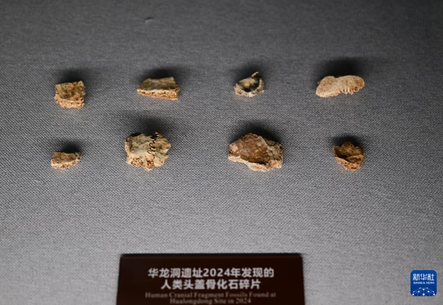 華龍洞人は東アジア最古のホモ?サピエンスに進(jìn)化した人類　中國の科學(xué)者が確認(rèn)