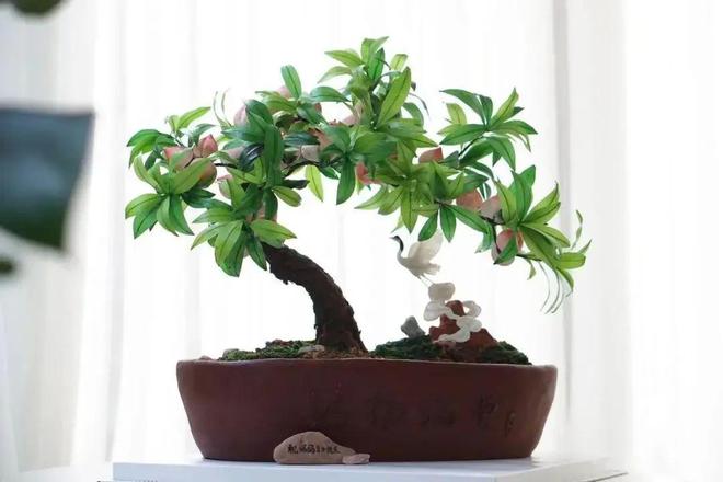 馮一朵さんが作った盆栽をリアルに再現(xiàn)したケーキ。