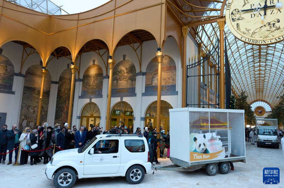 ベルギー生まれのパンダ3頭が中國に向けて出発