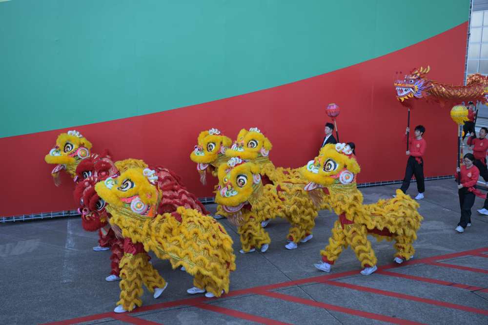 習(xí)近平総書記が澳門特區(qū)到著、熱烈な歓迎を受ける