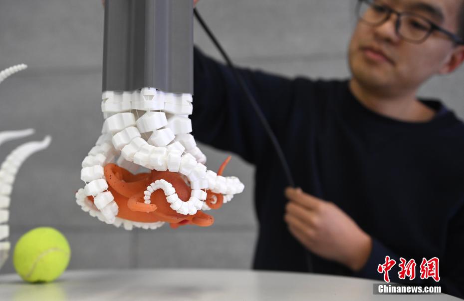 中國科學(xué)技術(shù)大學(xué)がタコの觸手型ロボットを開発　任意の物體を摑むことが可能