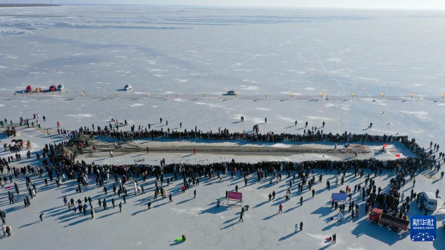 査干湖で今シーズンの冬季漁で初めて捕獲された「頭魚」が約2600萬(wàn)円で落札　吉林省
