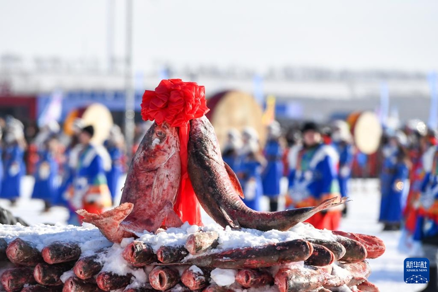 査干湖で今シーズンの冬季漁で初めて捕獲された「頭魚」が約2600萬円で落札　吉林省