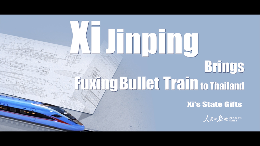 【贈り物から見る習(xí)主席の外交ストーリー】第10回：「復(fù)興號」の模型