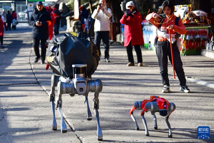 泰山でロボット犬の第2回運用テストを?qū)g施　山東省