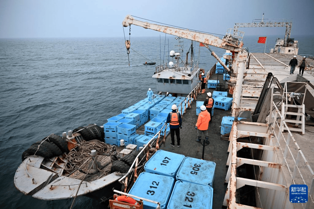 サーモンの養(yǎng)殖現(xiàn)場を訪れる