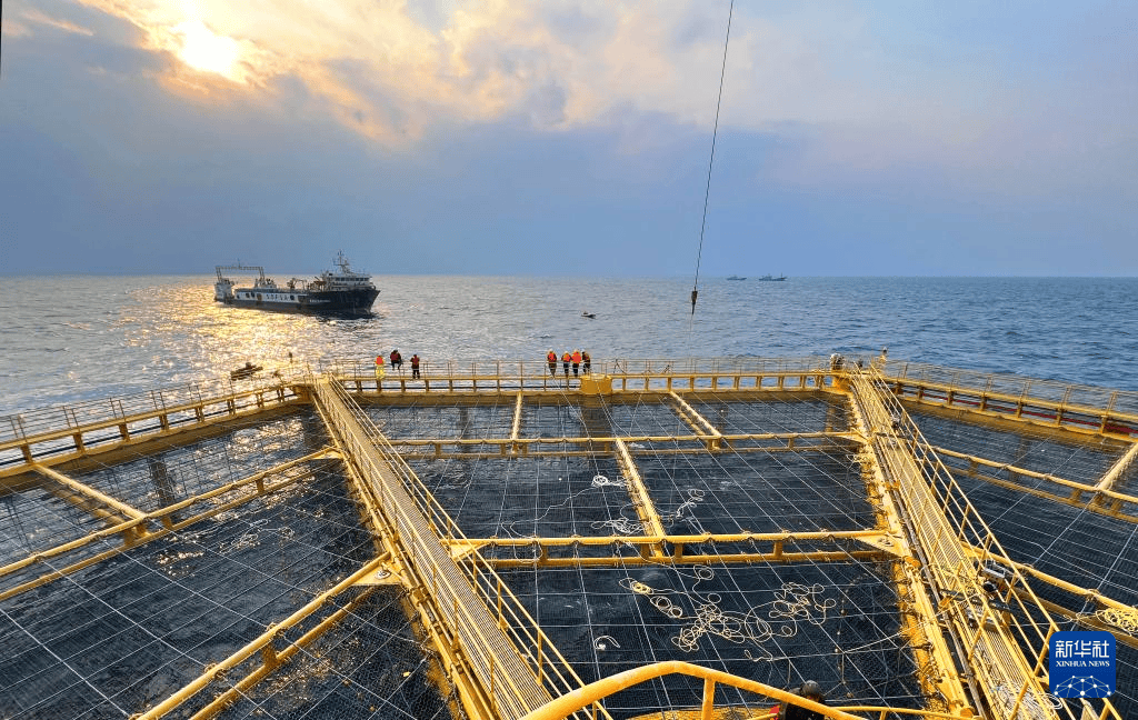 サーモンの養(yǎng)殖現(xiàn)場を訪れる