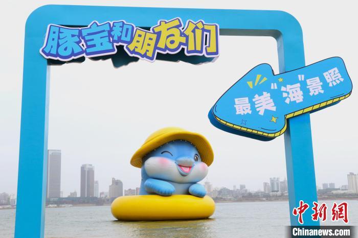 スナメリをイメージした巨大エアバルーンが南昌市に登場(chǎng)　江西省