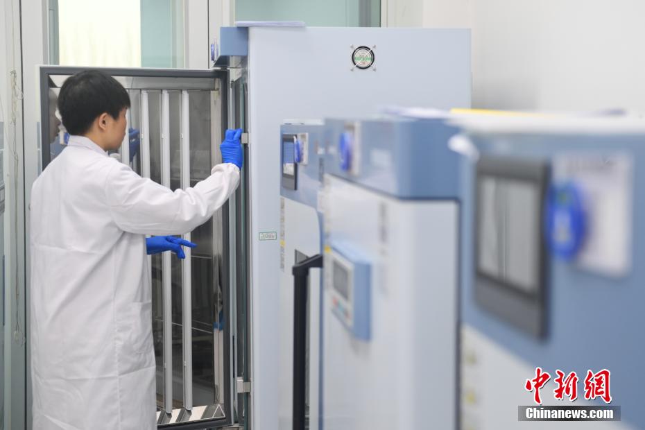 中國(guó)最大の花と野菜の海外種子増殖拠點(diǎn)を訪ねて