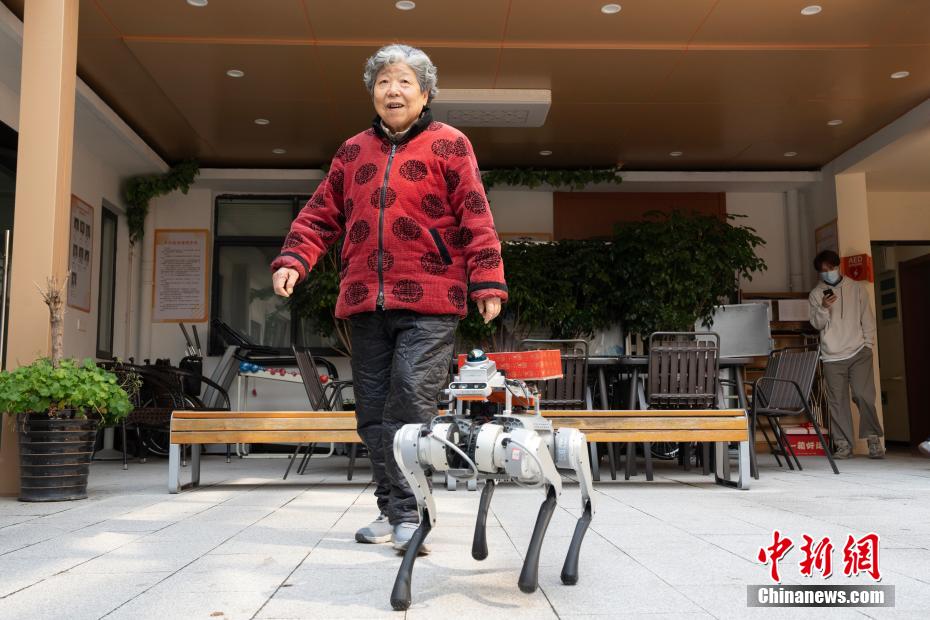 高齢者施設(shè)で活躍するロボット犬　浙江省杭州市