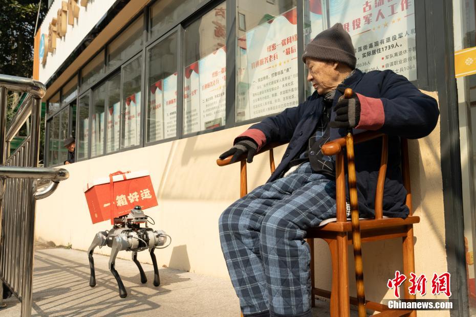 高齢者施設(shè)で活躍するロボット犬　浙江省杭州市