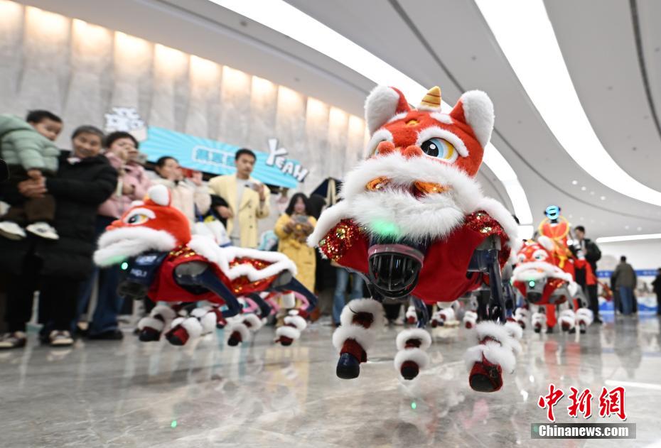 杭州市西湖區(qū)で開かれた文化クリエイティブ大會(huì)の會(huì)場(chǎng)で、ジャンプを披露して來場(chǎng)者の注目を集めた複數(shù)のロボット犬（2月26日撮影?王剛）。