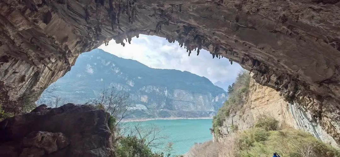 畫像引用元?ネットユーザー「趣跑趣野親子戸外」