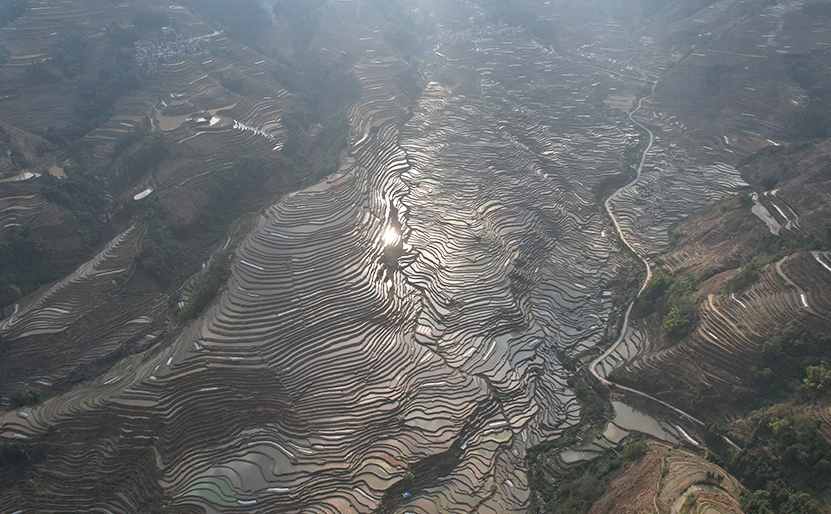 棚田の美しい春景色　雲(yún)南省緑春