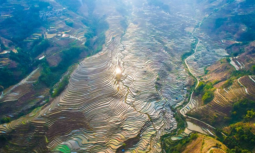 棚田の美しい春景色　雲(yún)南省緑春