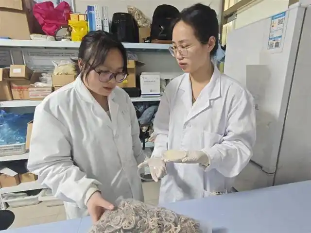 科學(xué)研究実験について議論する易陽教授のチームメンバー。（撮影?張歆）