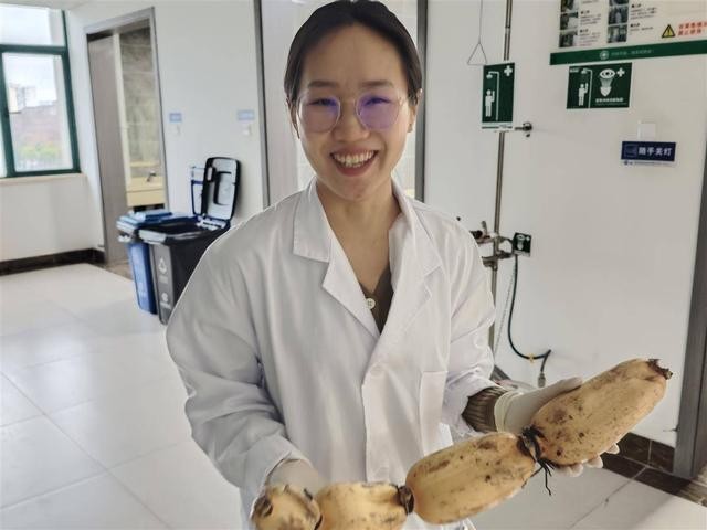 レンコンを持つ江雪玉博士。（撮影?張歆）