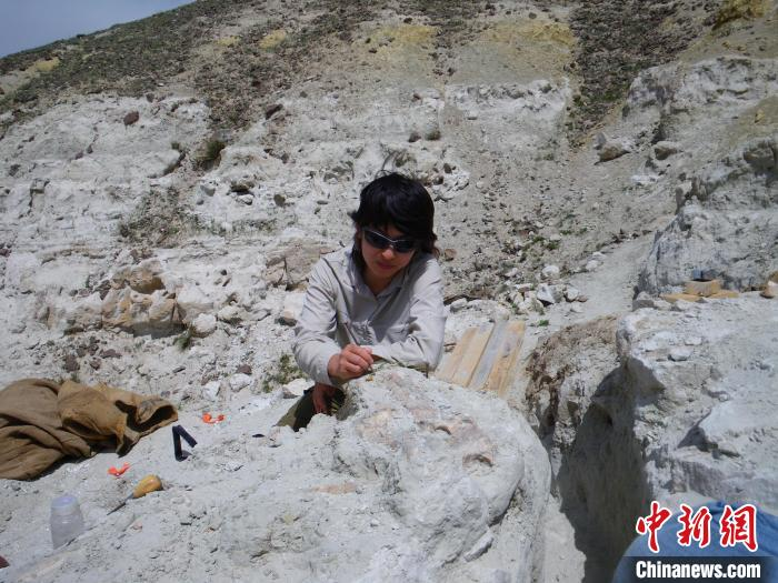 2009年、內(nèi)蒙古で科學(xué)調(diào)査を行う木村由莉さん。(寫真提供：取材対象者)