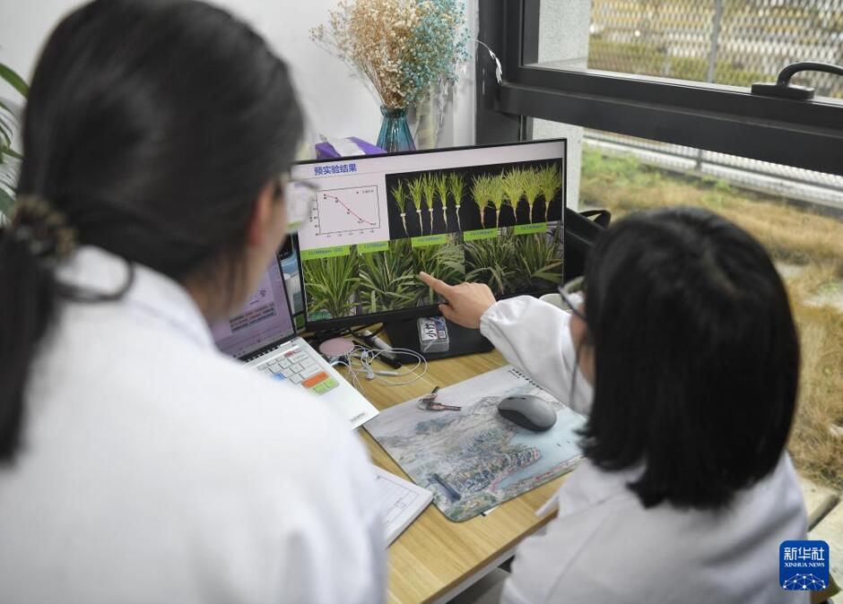 1年で15回収穫可能！無人植物工場が未來の農(nóng)業(yè)を切り開く