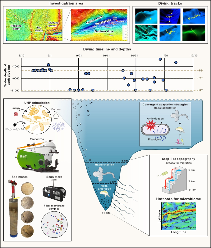 畫像出典：上海交通大學(xué)公式ウェブサイト