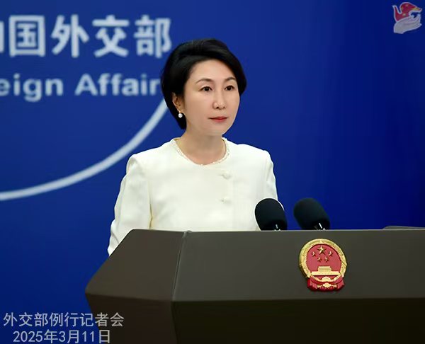 外交部「中國は引き続き質(zhì)の高い発展と高水準(zhǔn)の対外開放によって世界に活力を吹き込む」