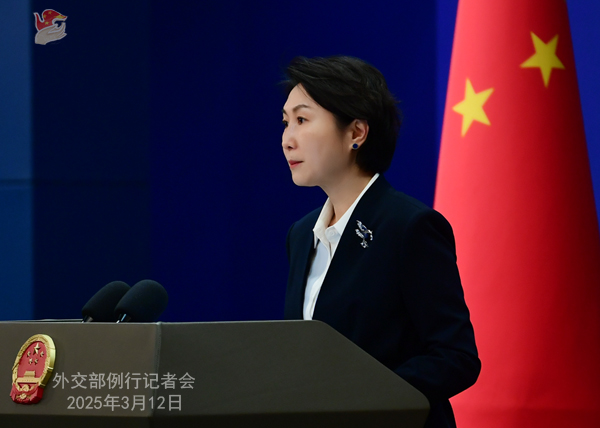 米國の鉄鋼?アルミ25％追加関稅について中國外交部報道官がコメント