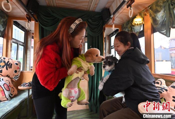 ペットと一緒に楽しむ路面電車(chē)　吉林省長(zhǎng)春