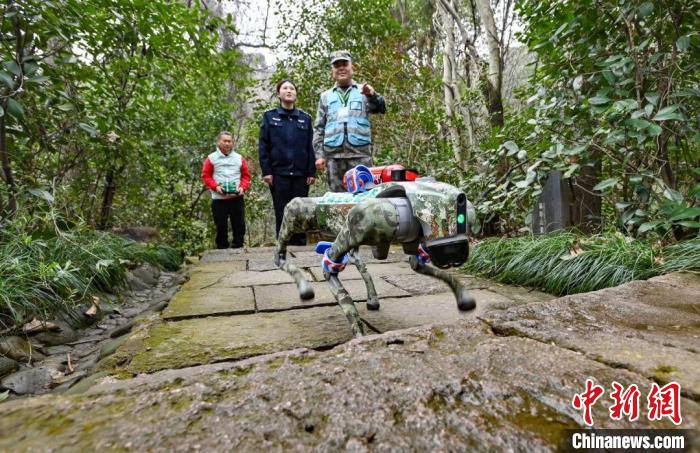 3月、森林警備員と共に杭州の皋亭山を巡回するロボット犬。（畫像提供：取材先）