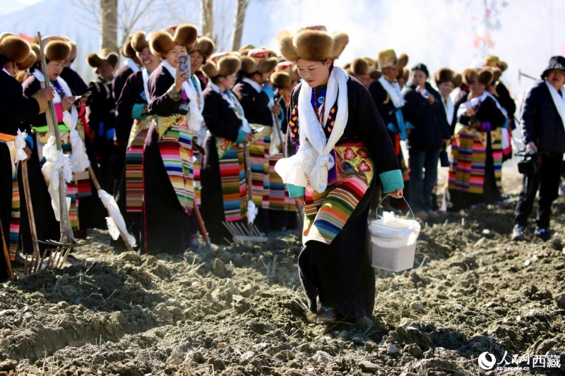 春耕が始まる西蔵自治區(qū)