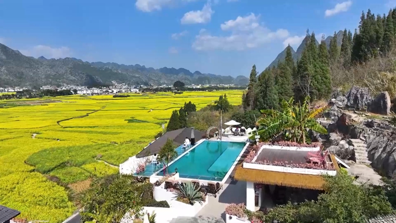 寫真提供?新華社