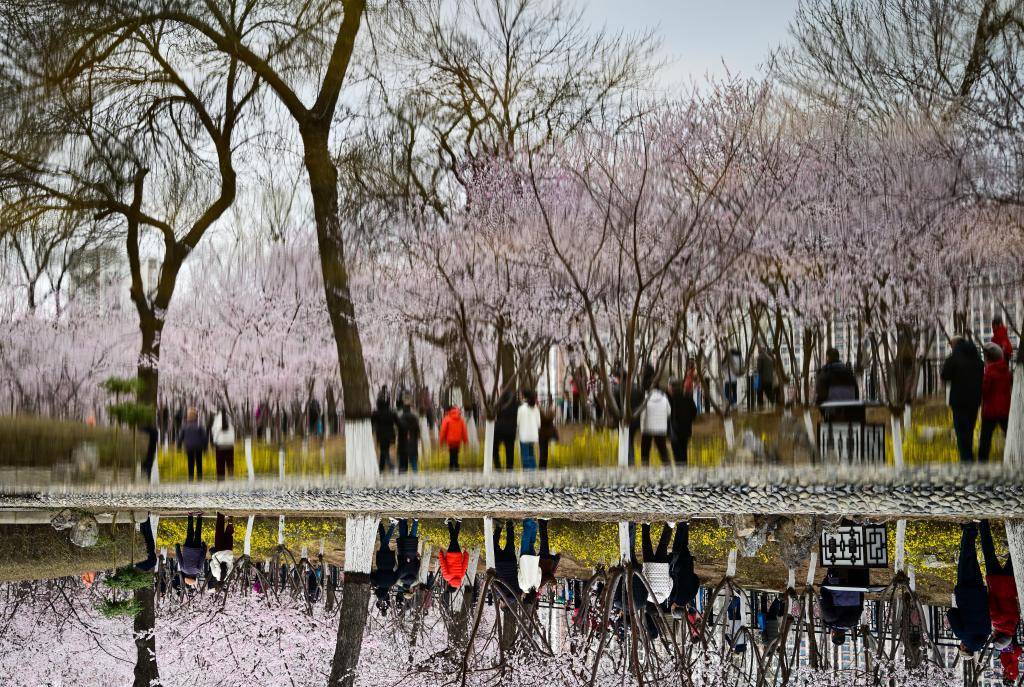 寫真提供?新華社