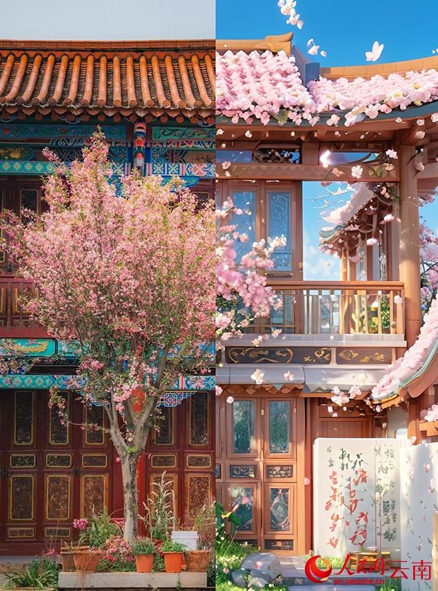 実寫とAIで楽しむ春の桜　雲(yún)南省昆明