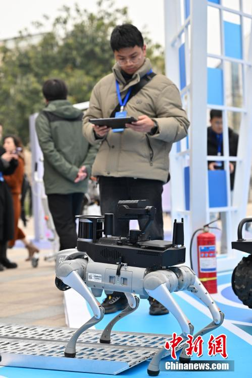 四川省がAI産業(yè)チェーン製品を発表　複數(shù)のロボットが一斉にお披露目