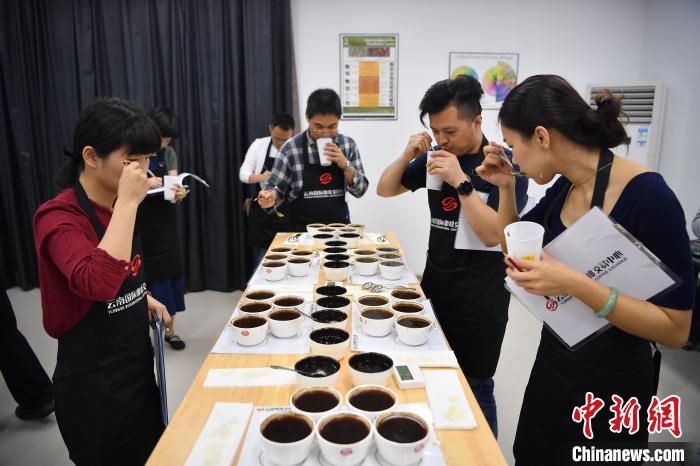 世界に漂う雲(yún)南産コーヒーの香り