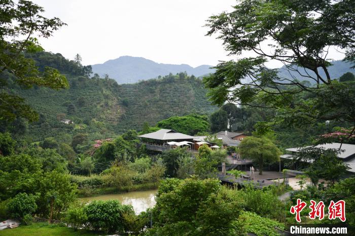 世界に漂う雲(yún)南産コーヒーの香り