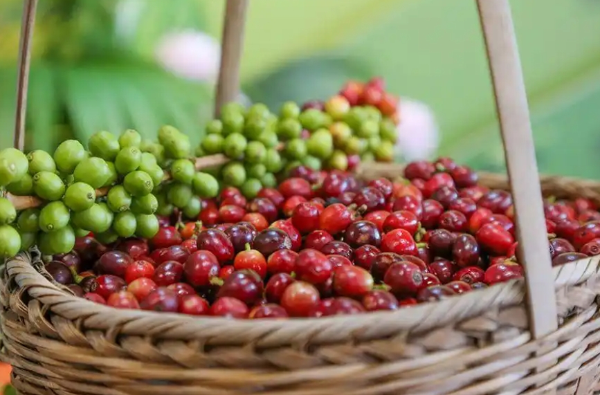 撮影?虎遵會(huì)