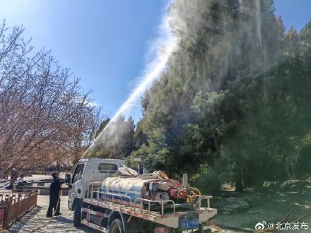 【音聲ニュース】北京市で花粉対策に1日3回の水撒き