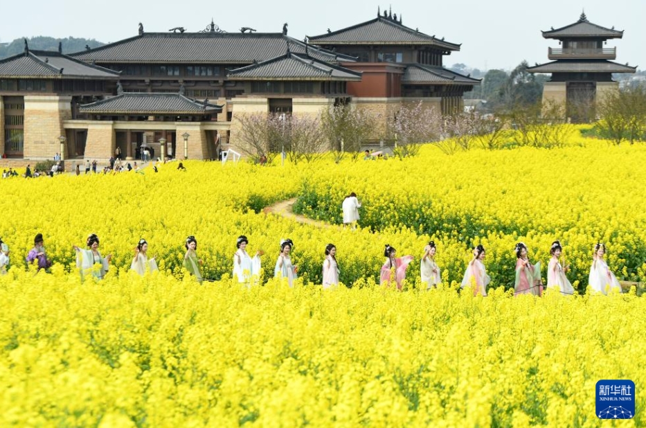 中國各地で春の花見シーズン到來