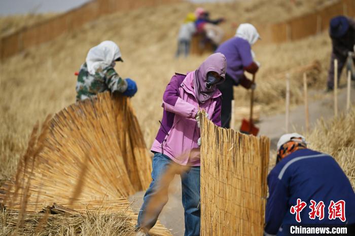 ドローンで築く「砂防の長城」　甘粛省金塔