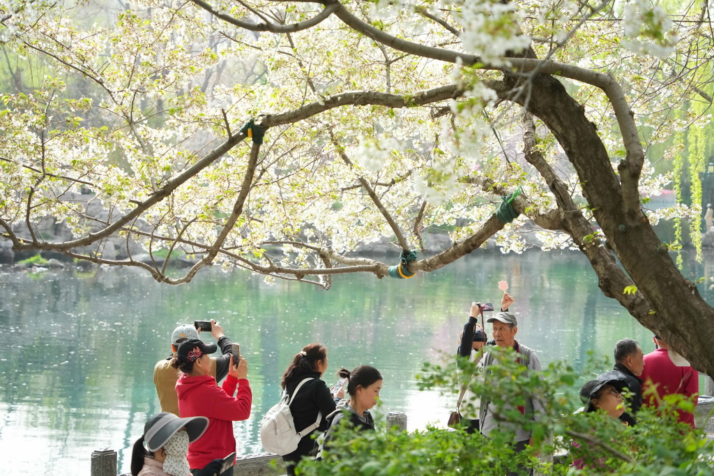 春の行楽日和を満喫する人々　山東省済南