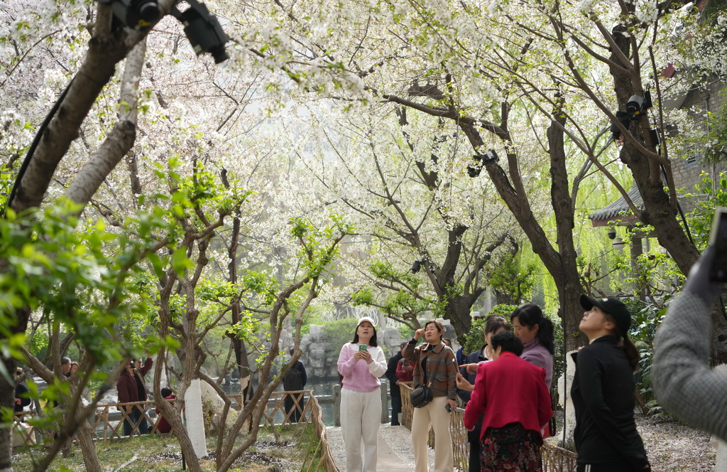 春の行楽日和を満喫する人々　山東省済南