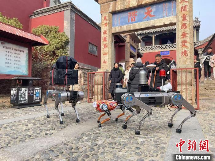 2025年2月、荷物を背負って泰山を上り下りする犬型ロボット(寫真提供?取材対応者)。