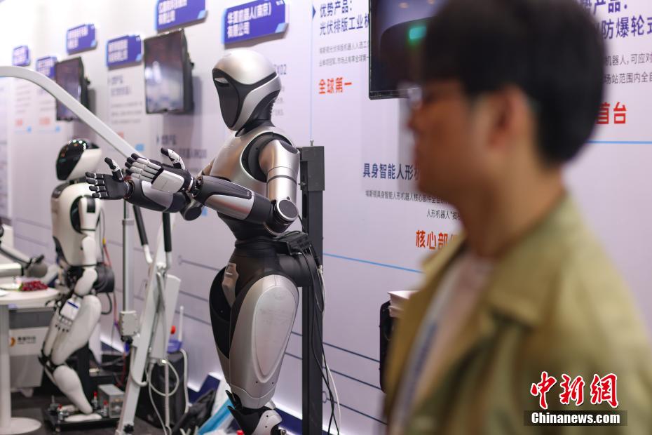 各種タイプのロボットが南京に大集合　江蘇省