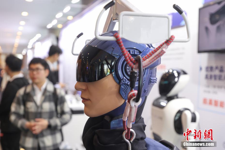 各種タイプのロボットが南京に大集合　江蘇省