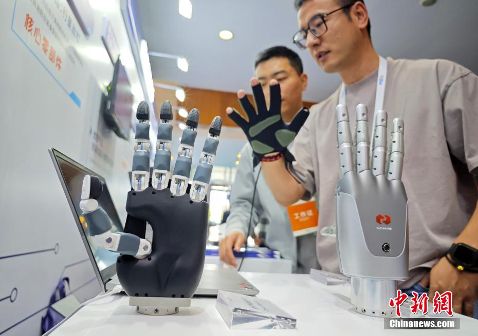 各種タイプのロボットが南京に大集合　江蘇省